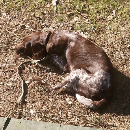 بيت للعطل Strandoase -